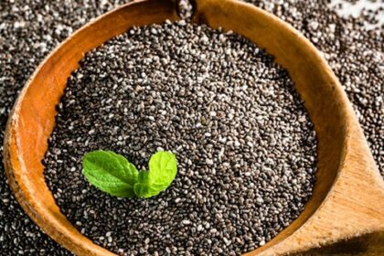 Chia Samen | Chiasamen | Superfood
