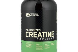 Optimum Nutrition, Mikronisiertes Kreatin, 300 Kapseln